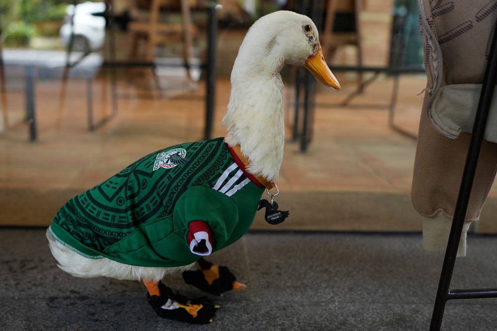 Mexico_WCup_Mascot427560