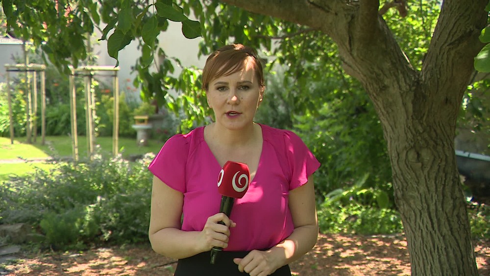 [multi] 061924PCV 1320