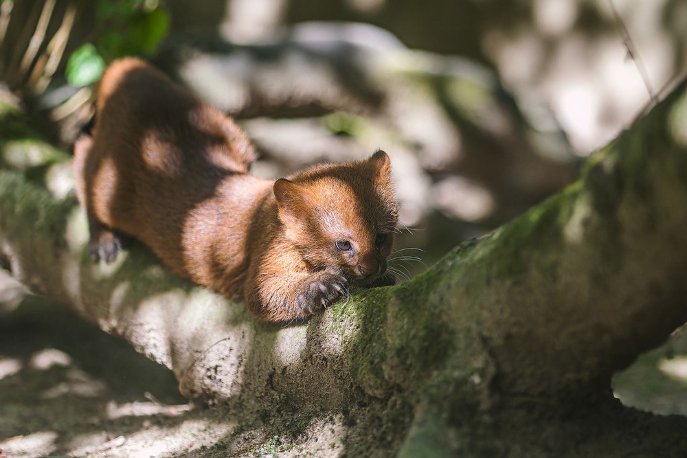 539579096_1185481353613021_6262354457834751926_n