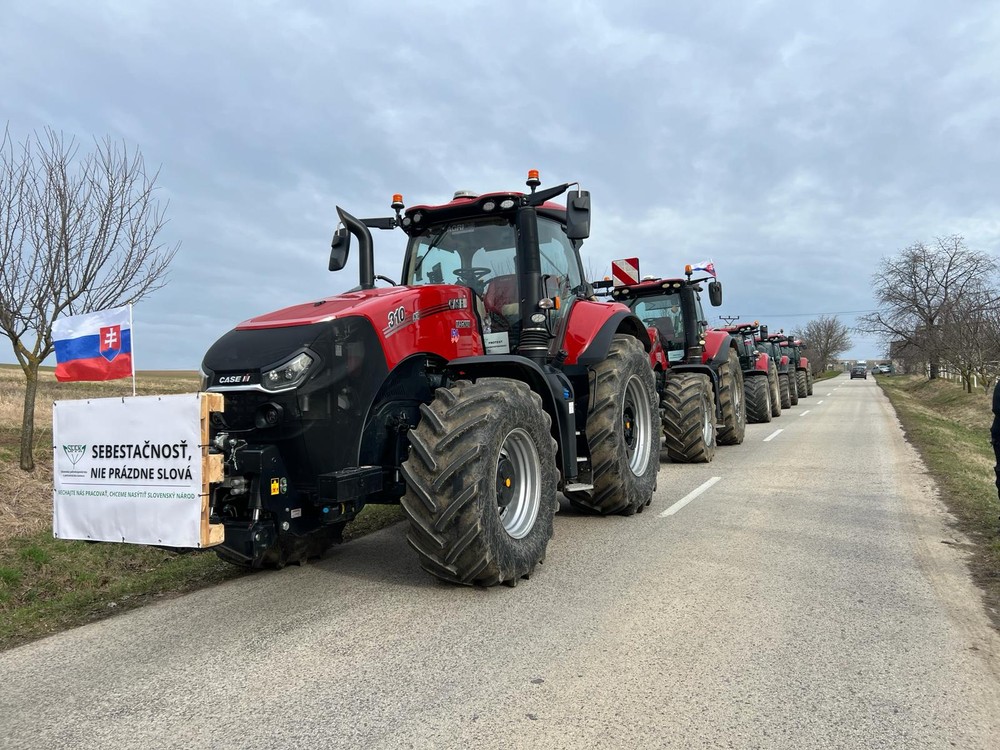 WhatsApp Image 2024-02-22 at 09.46.36