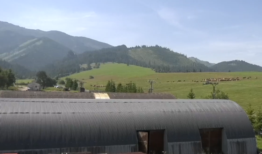 Screenshot 2024-07-11 093531