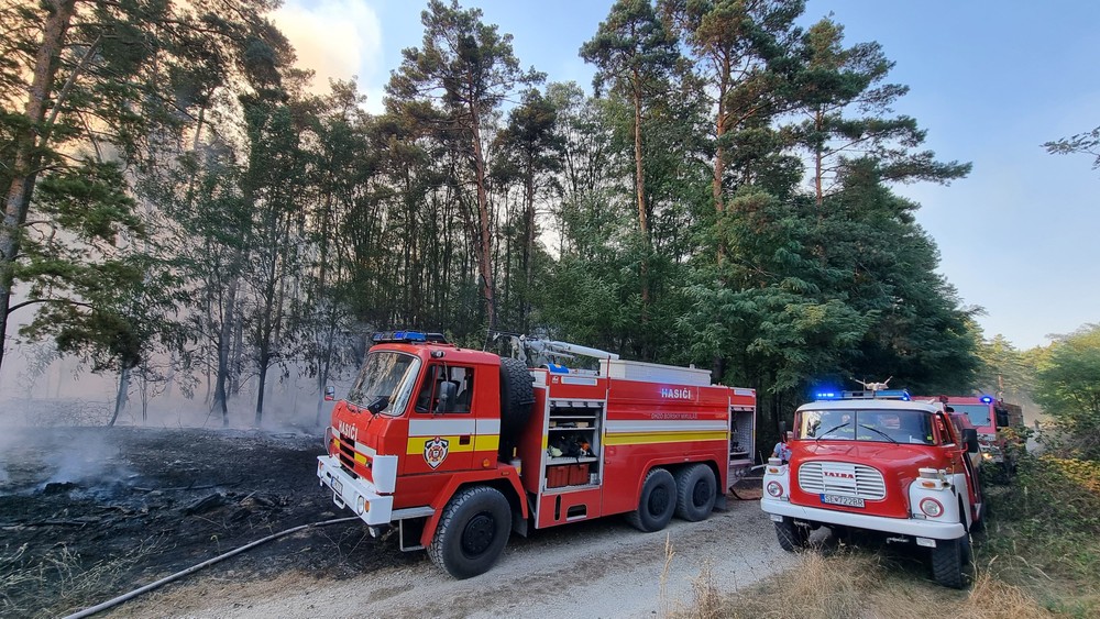 WhatsApp Image 2024-09-04 at 15.16.30