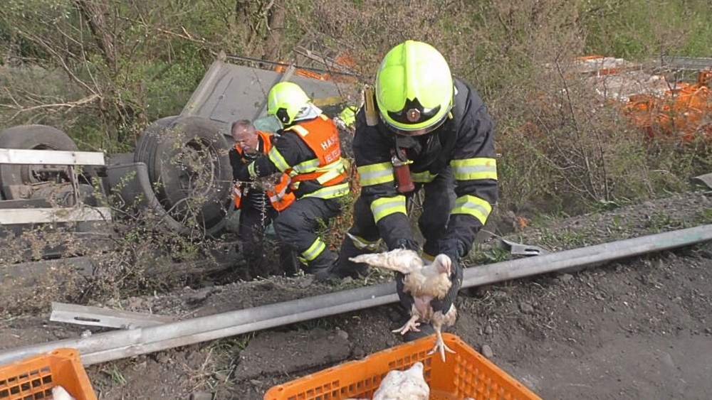 Prevrátený kamión s hydinou