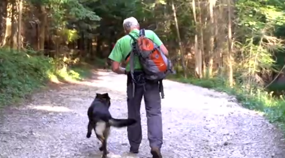 Veľká pátracia akcia v Slovenskom raji: Františka už hľadajú policajti, dobrovoľníci aj vrtuľník