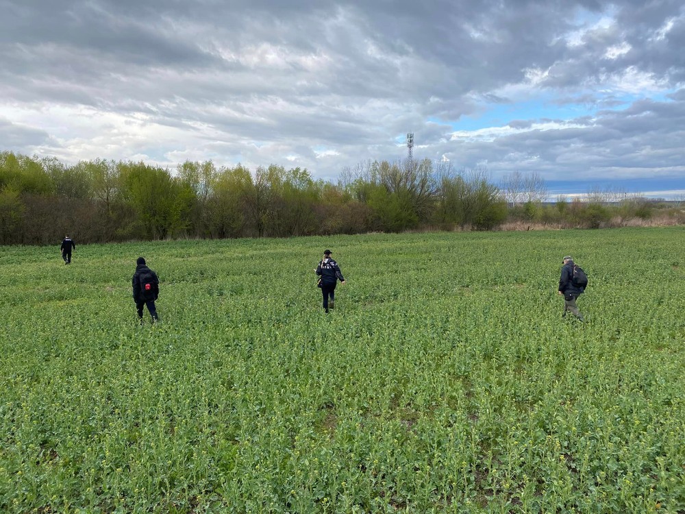 Pátranie po nezvestnom