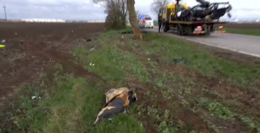 Vážna dopravná nehoda za obcou Hrubá Borša