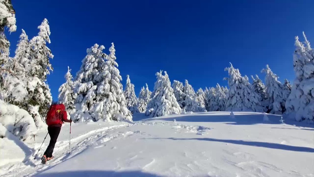 [multi] Zasah HZS. 1878