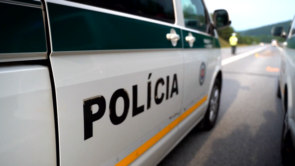 Motorkár sa zrazil so srnkou