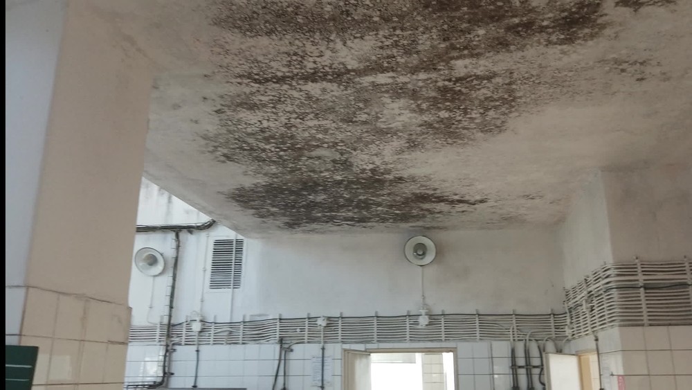 [multi] 061124JMN 2540