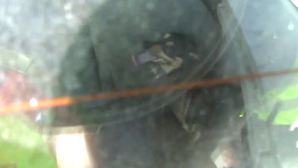 Policajti zachránili život trom psom, vyslobodili ich zo zamknutého auta