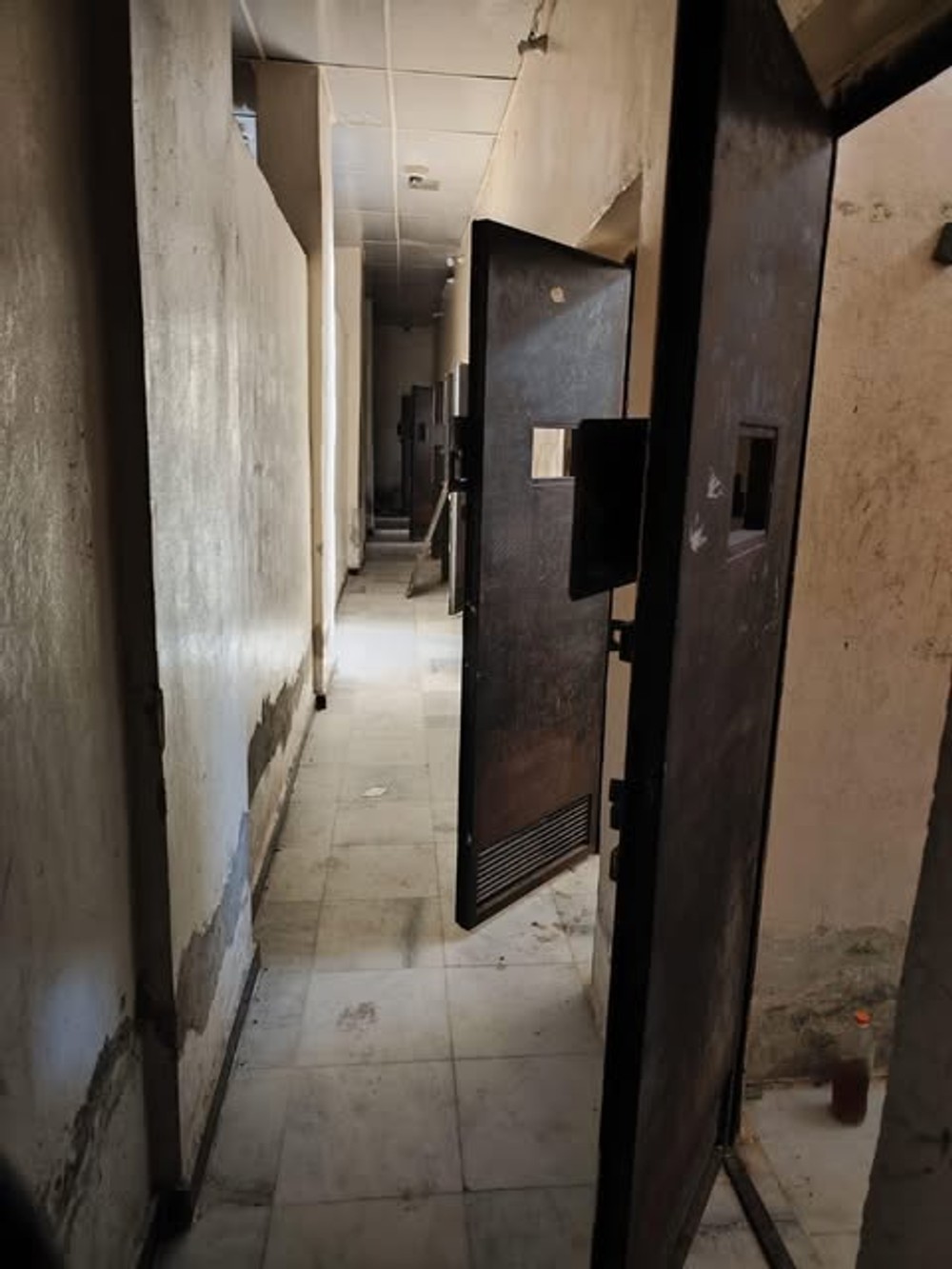 syria vazenie pas 14