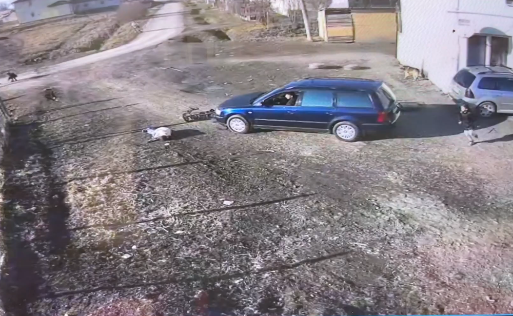 zrazka auta s dietatom