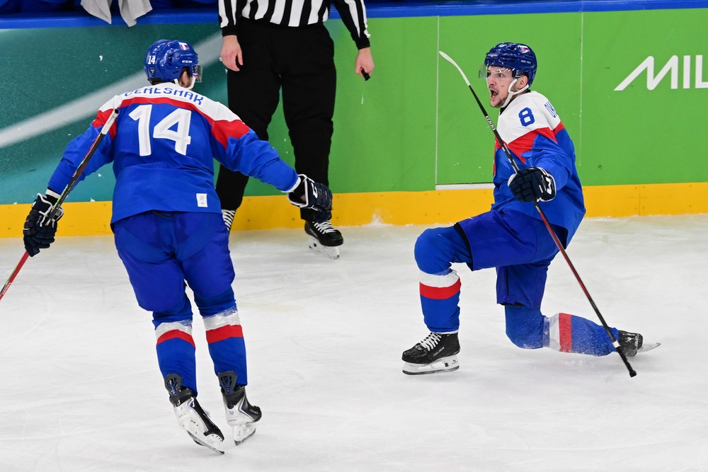 Zápas SLovensko - Nemecko