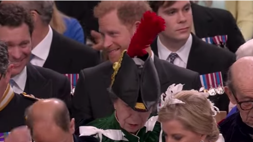 Harry spoza klobúka svojej tety, princeznej Anny, veľa nevidel