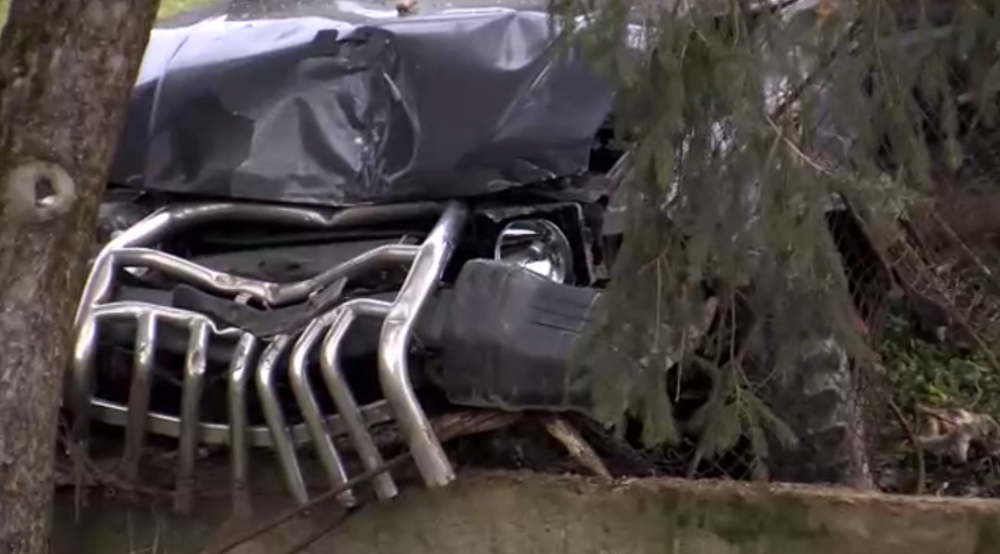 Muž z neznámych príčin zišiel z cesty, neprežil náraz do stromu 