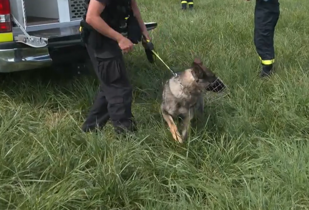 Screenshot 2024-07-27 165604