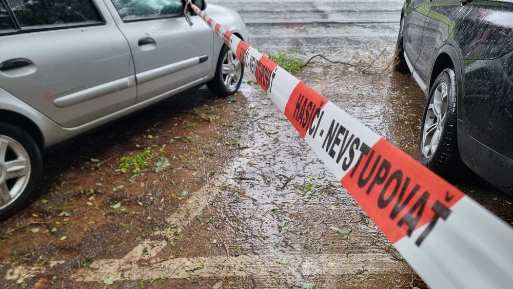 WhatsApp Image 2024-09-13 at 14.13.21