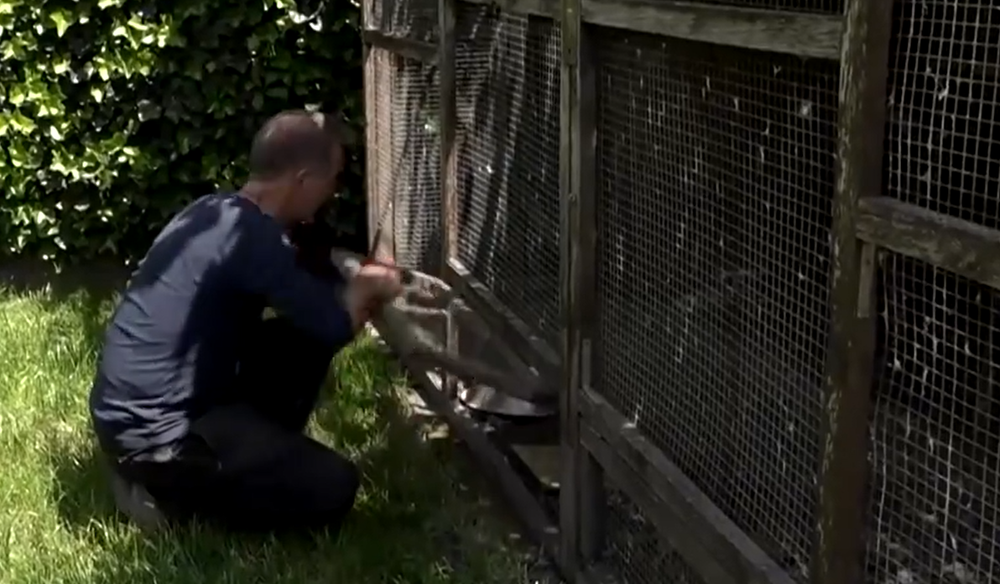 Záchranné stanice volajú o pomoc