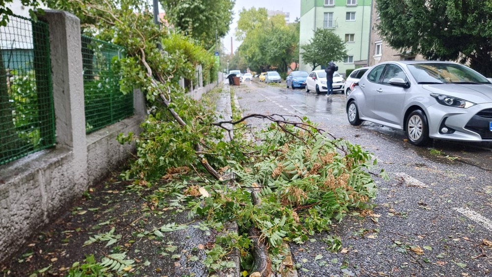 WhatsApp Image 2024-09-13 at 14.20.03