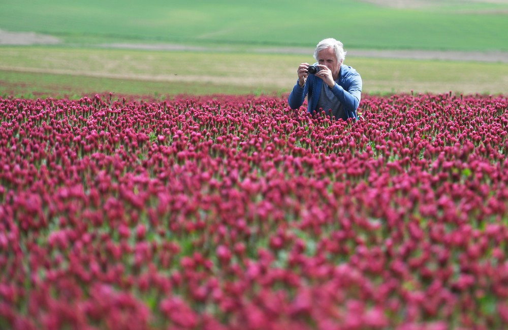 pole03_25_5_2024045916