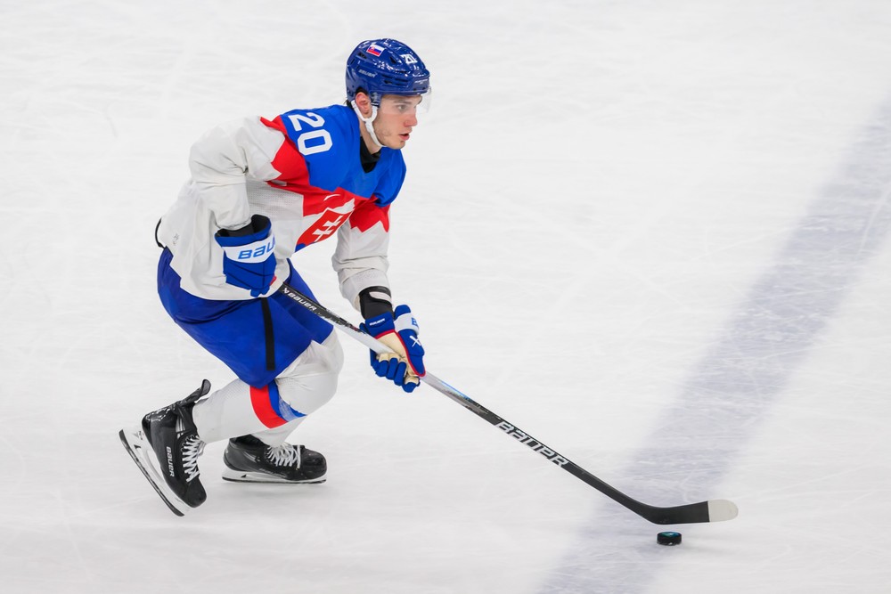 20261402_zoh_slovensko_svedsko_43193849