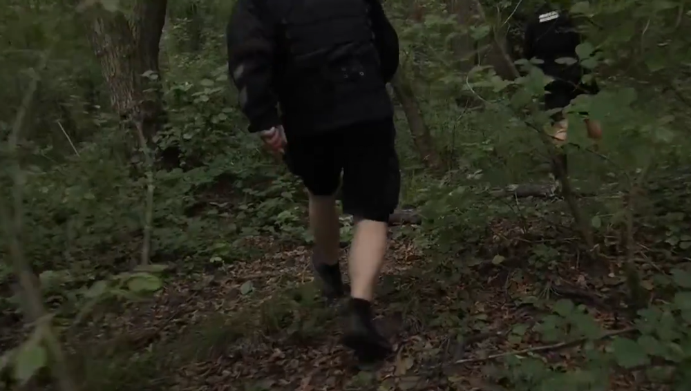 Screenshot 2024-08-11 084726