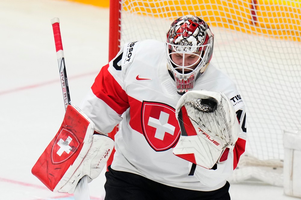 MS v hokeji Fínsko - Švajčiarsko (2)
