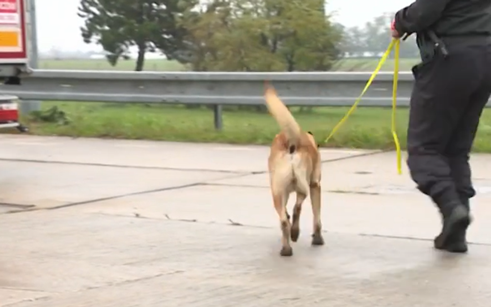 Policajné kontroly kamiónov 5