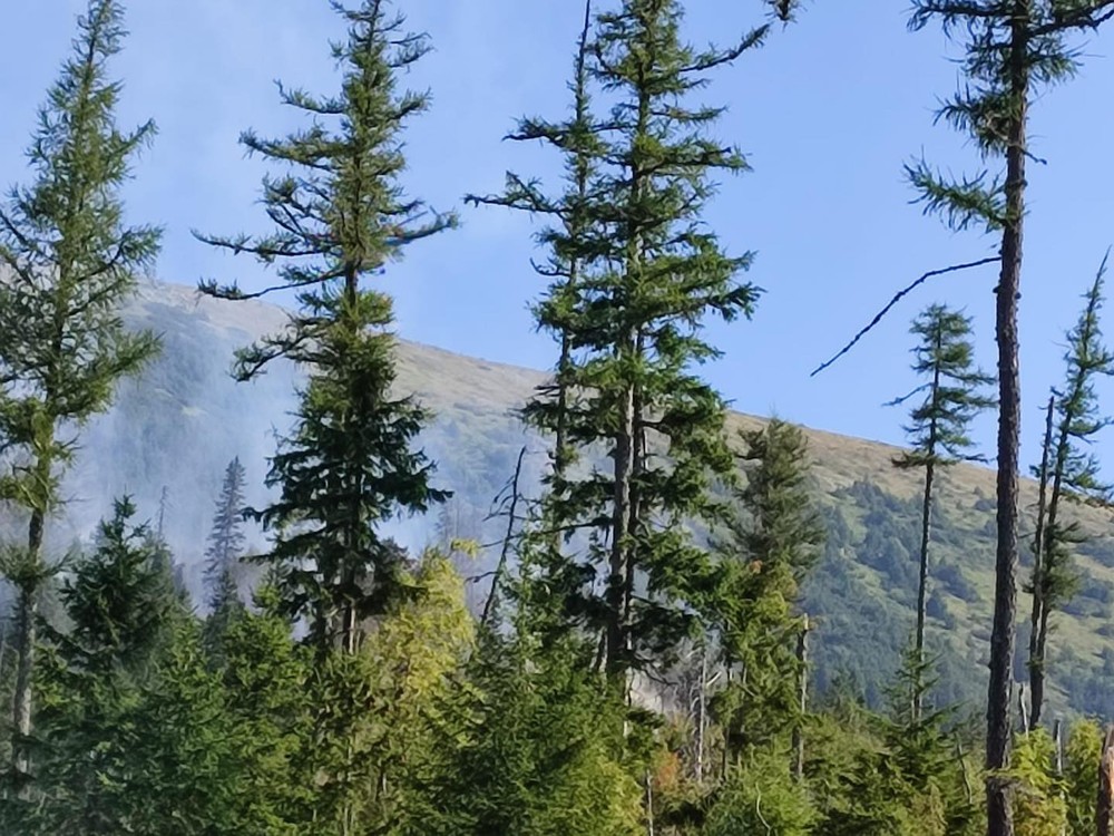 Na Horehroní sa rozhorel les
