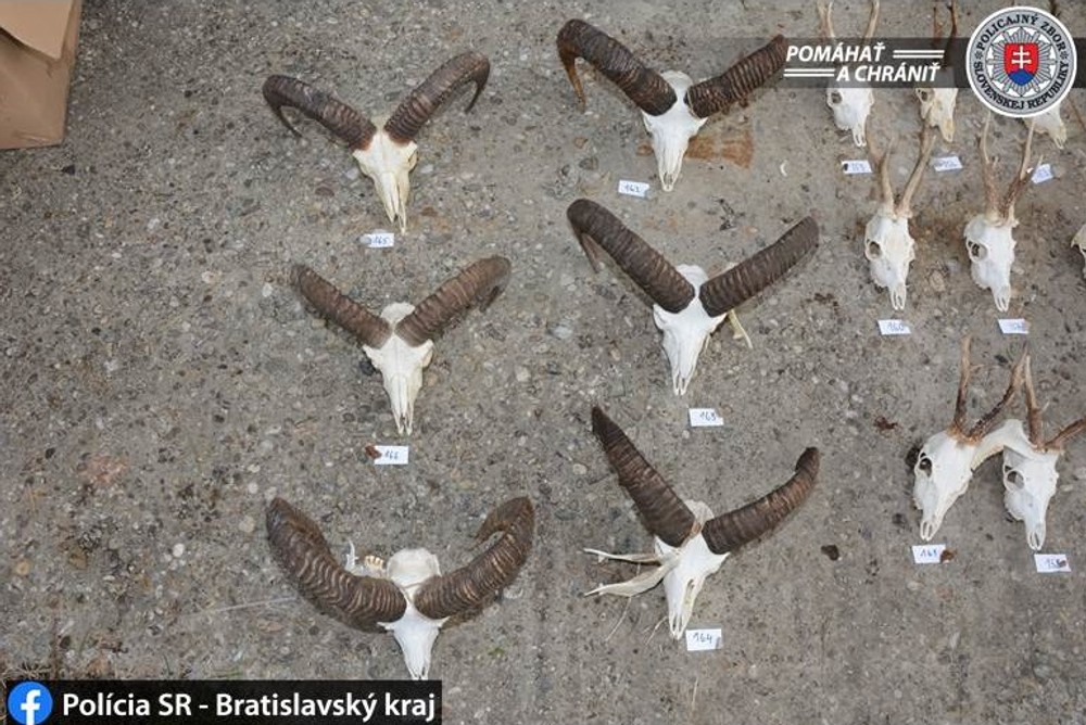 Najväčšia policajná akcia zameraná na pytliakov