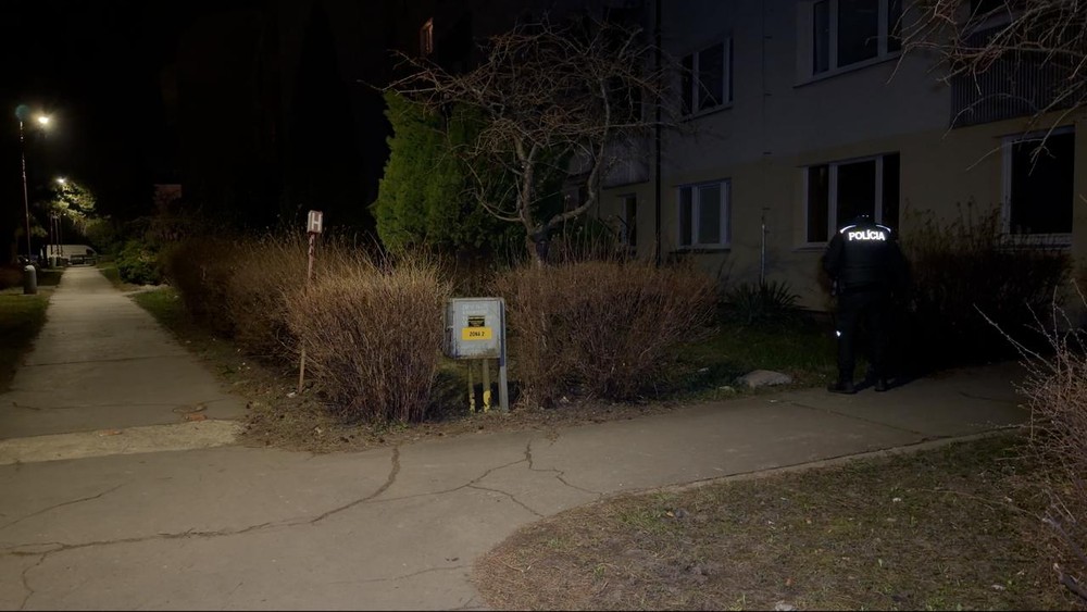 Muža napadli v bytovke sekerou 5