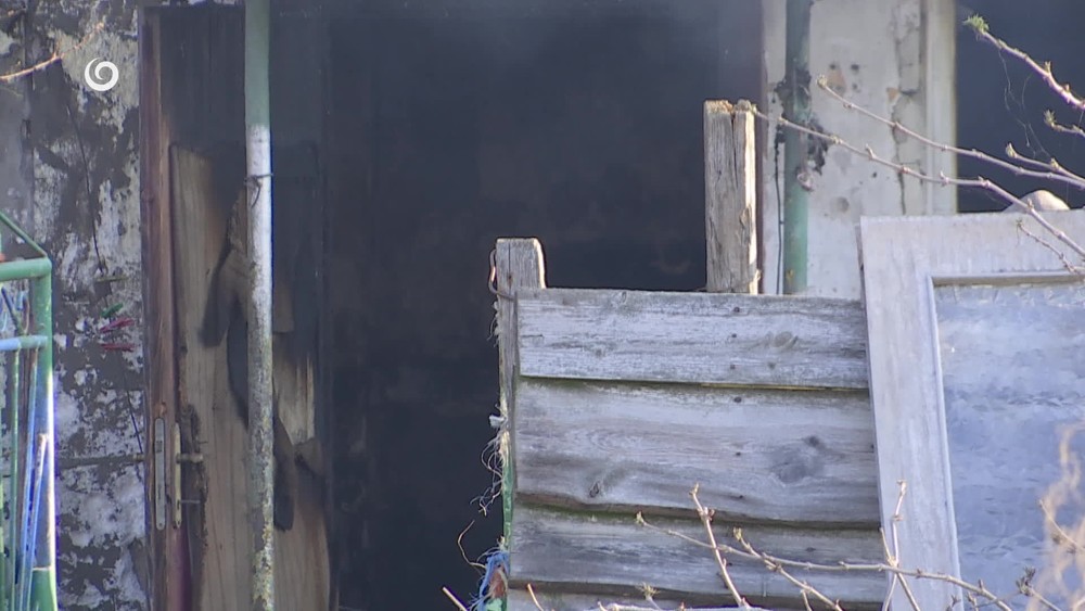 [multi] 030726XWQ 64