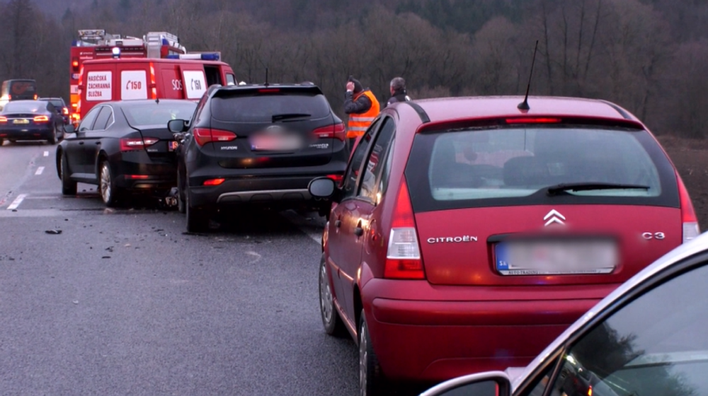 Cez vozovku plnú vozidiel sa prehnalo stádo jeleníc