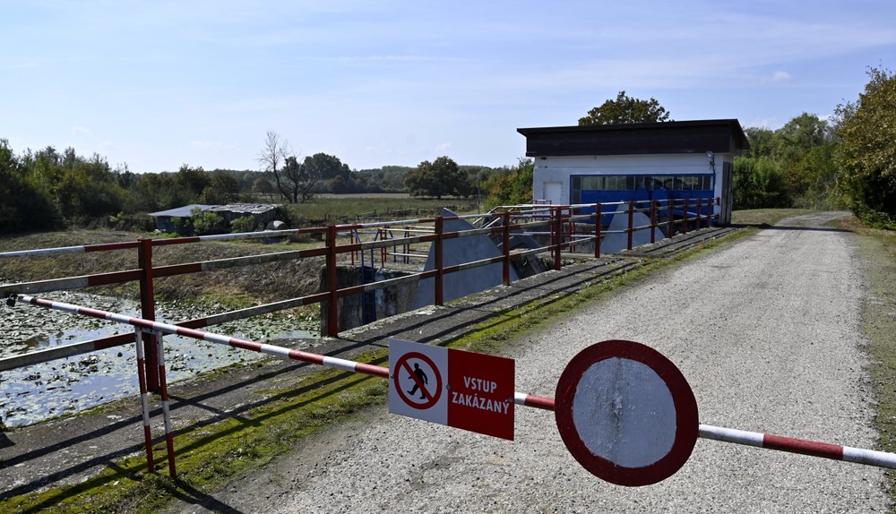 Besa_suchy_polder_002071918