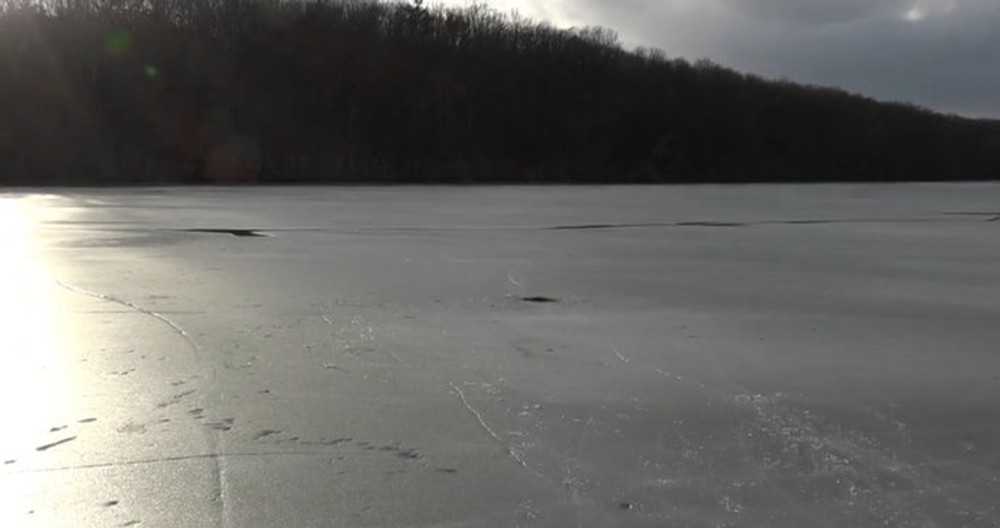 Zamrznutý diviak v nádrži