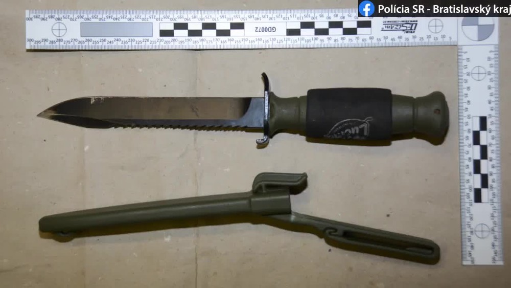 [multi] Muž so sekerou v parlamente 1312