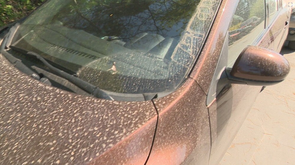 saharsky piesok hoaxy (1)