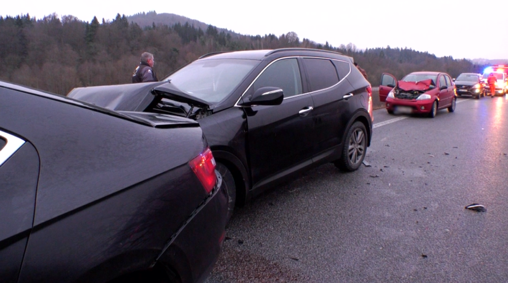 Cez vozovku plnú vozidiel sa prehnalo stádo jeleníc