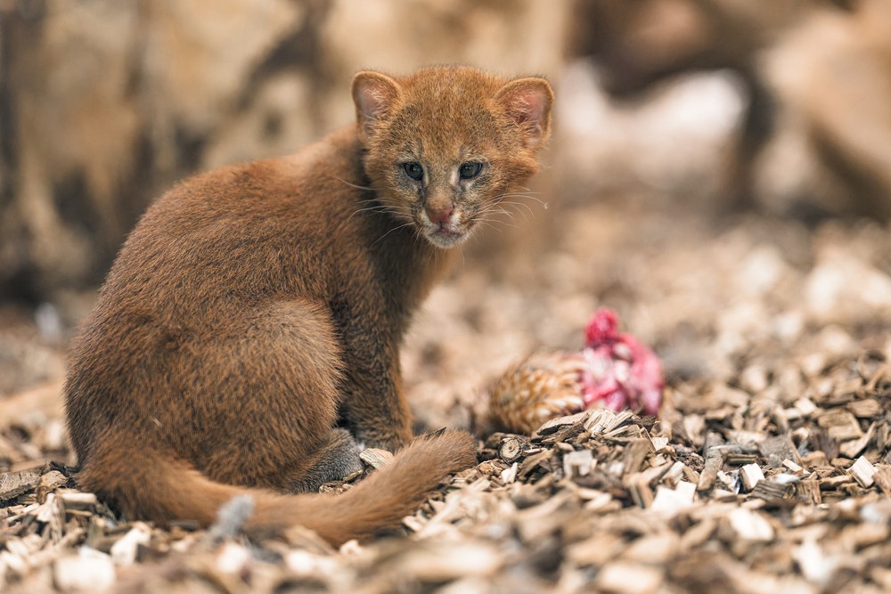 540451459_1185481593612997_4890189050447170348_n