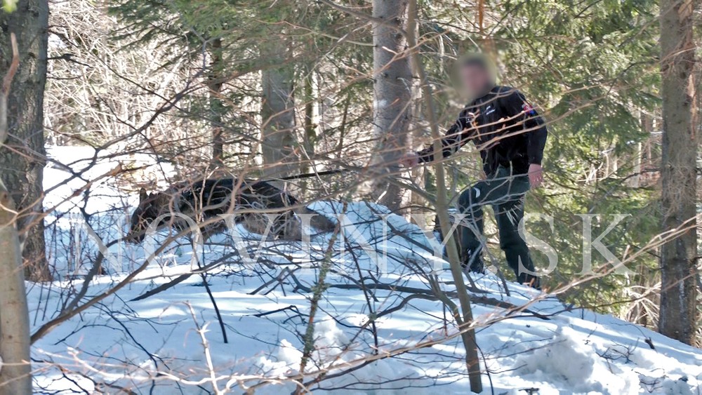 Pátranie po 39 - ročnej Agáte