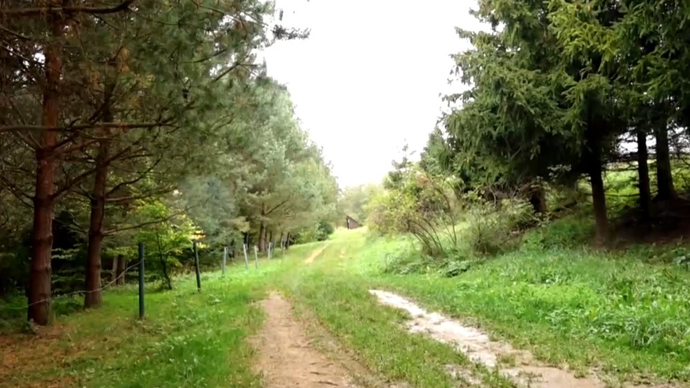 Chlapec sa plazil niekoľko metrov, aby zavolal pomoc.