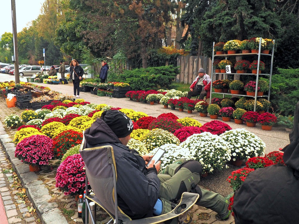 22102025_cintorin_Slavicie_Sviatok8168116