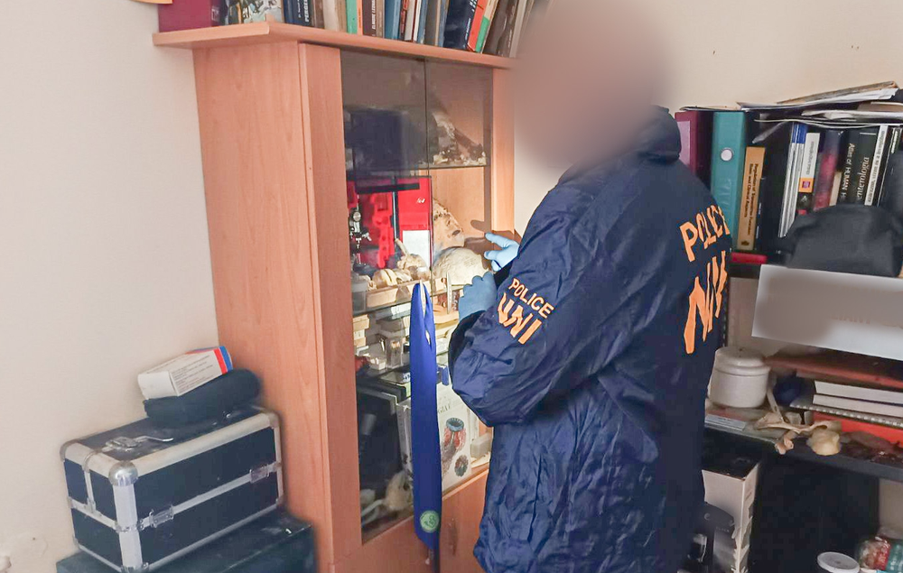 madar zbieral ludske kosti