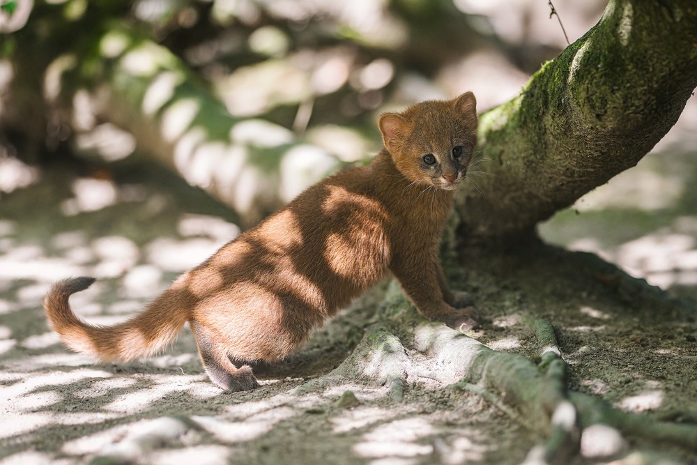 540317722_1185481400279683_3274128557325210854_n