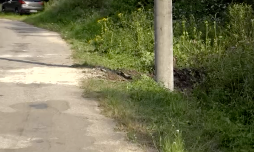 Adrián narazil do stĺpu. Jeho kamarát cestu na párty neprežil