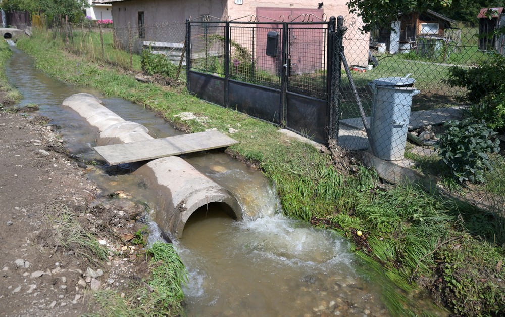 Mnisek15_11_7_2024056916