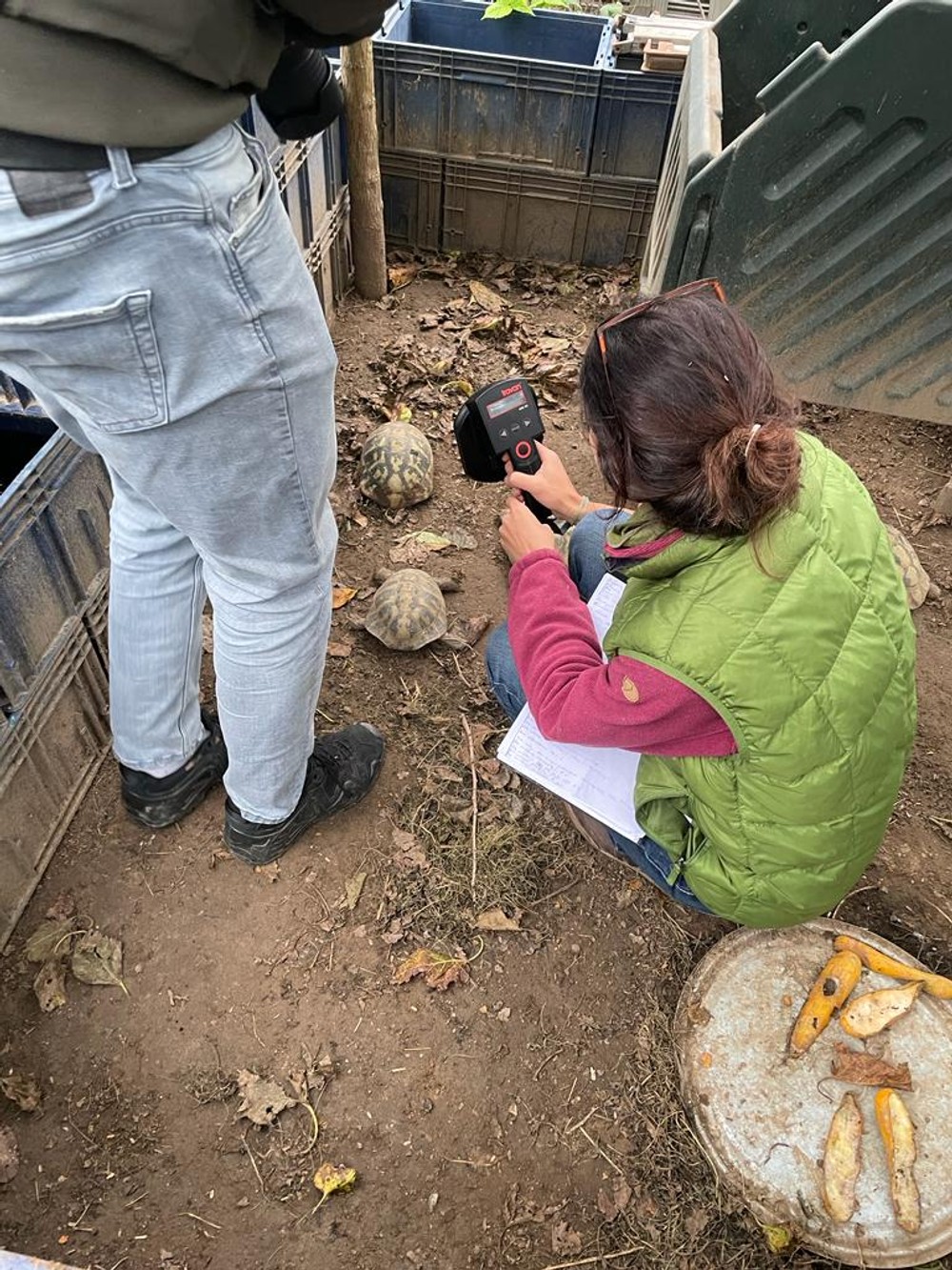 406039730_741020054730232_1971076454874136067_n