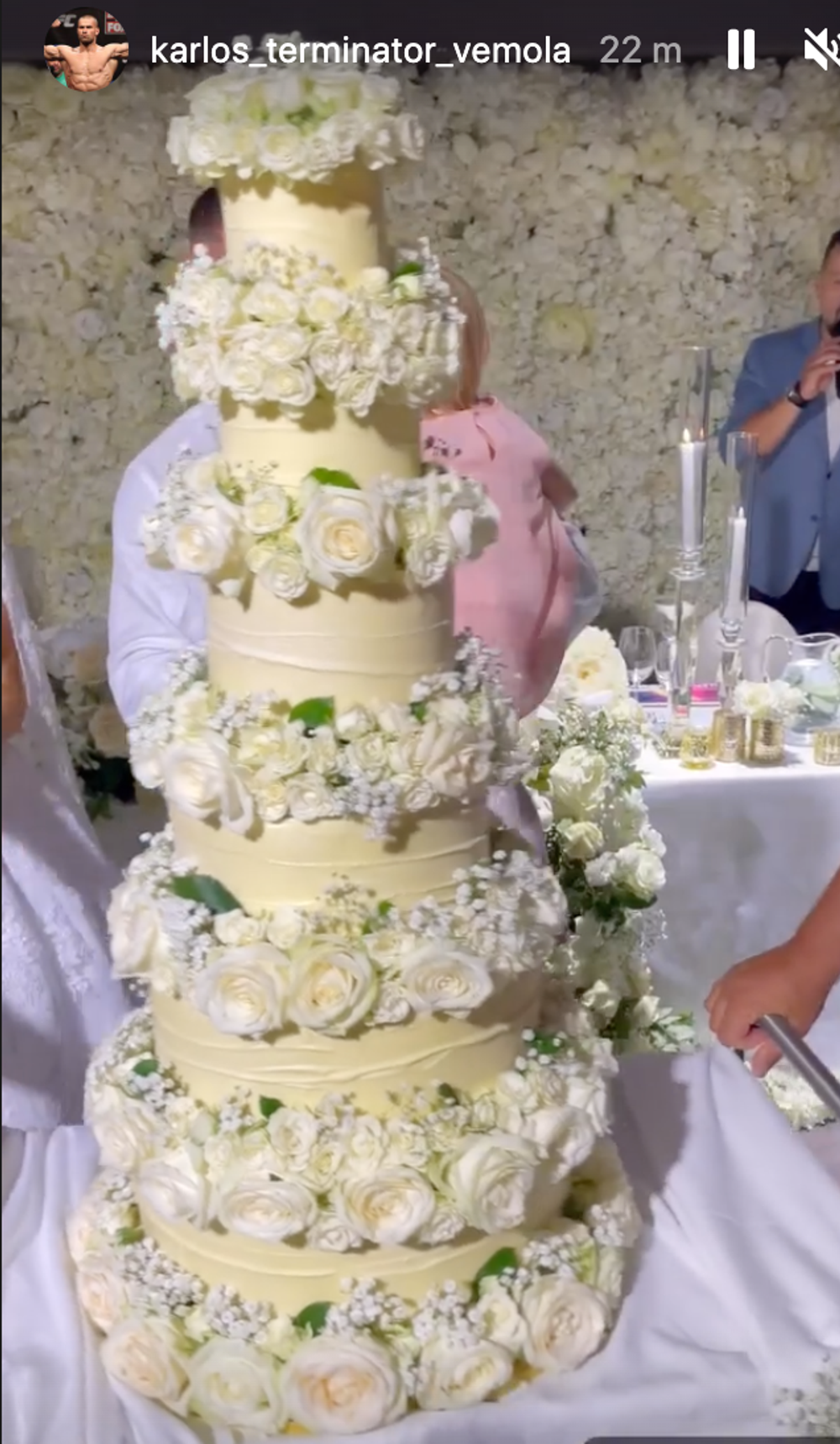 Šesťposchodová torta Vémolovcov