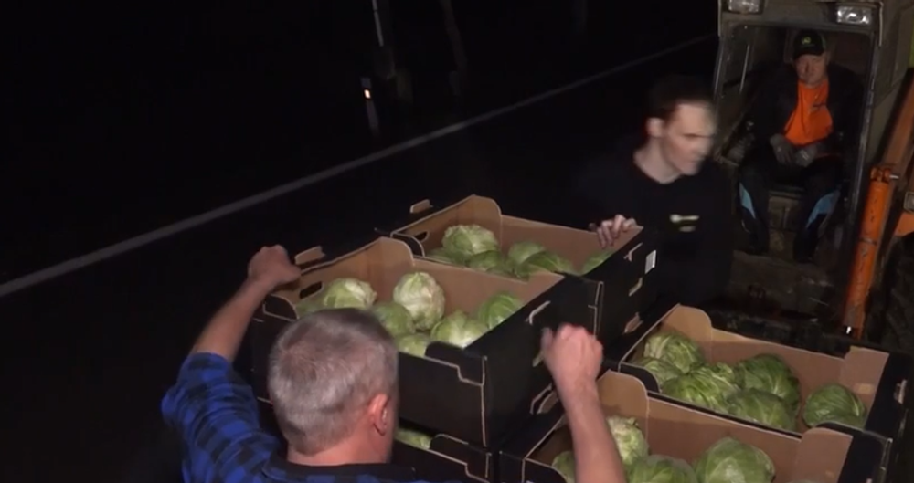 Screenshot 2024-04-08 121459