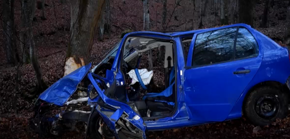 Vodič prešiel do protismeru a narazil do stromu